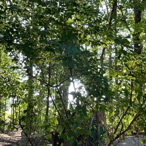 Meet your Posher, Nevan